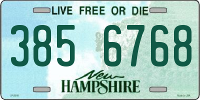 NH license plate 3856768