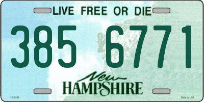 NH license plate 3856771