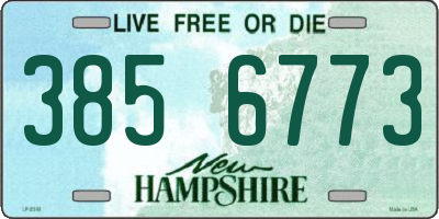 NH license plate 3856773