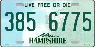 NH license plate 3856775