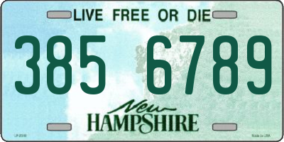 NH license plate 3856789