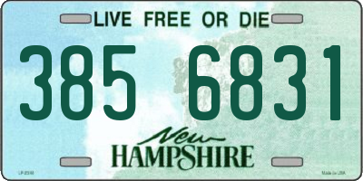 NH license plate 3856831