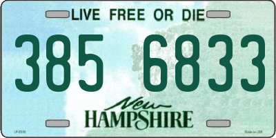 NH license plate 3856833