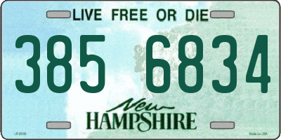 NH license plate 3856834