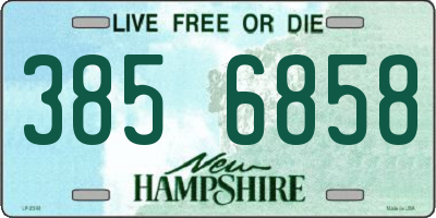 NH license plate 3856858