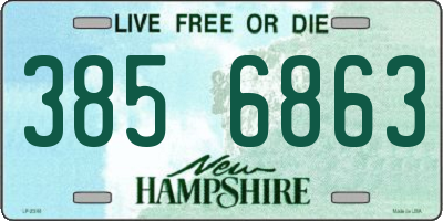 NH license plate 3856863