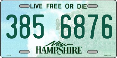 NH license plate 3856876