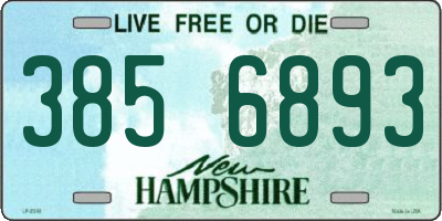 NH license plate 3856893