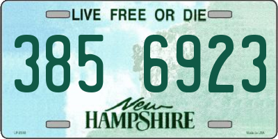 NH license plate 3856923