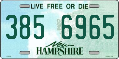 NH license plate 3856965