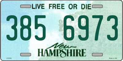 NH license plate 3856973