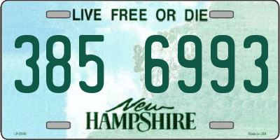 NH license plate 3856993