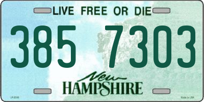 NH license plate 3857303