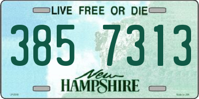 NH license plate 3857313