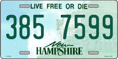 NH license plate 3857599