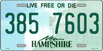 NH license plate 3857603