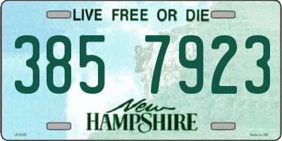 NH license plate 3857923