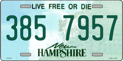 NH license plate 3857957