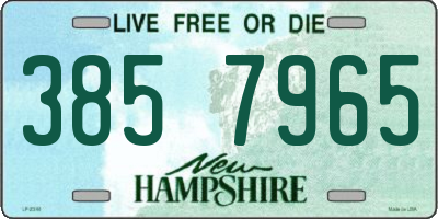 NH license plate 3857965