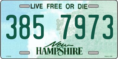 NH license plate 3857973