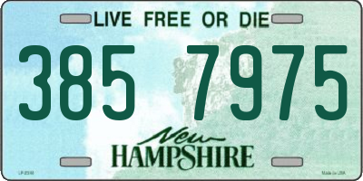 NH license plate 3857975