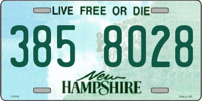 NH license plate 3858028