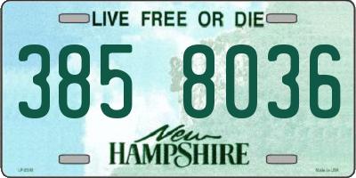 NH license plate 3858036