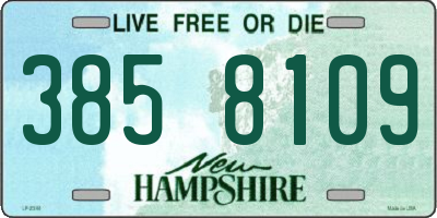 NH license plate 3858109
