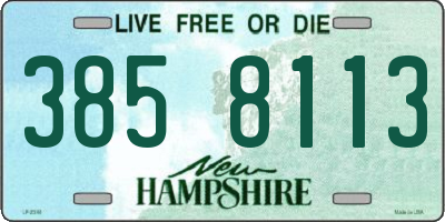 NH license plate 3858113