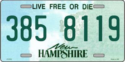NH license plate 3858119