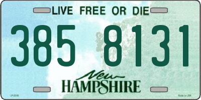 NH license plate 3858131