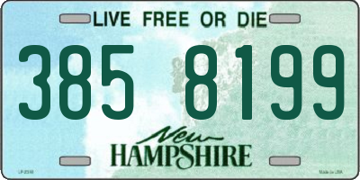 NH license plate 3858199