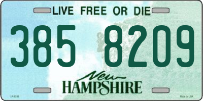 NH license plate 3858209