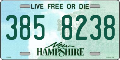 NH license plate 3858238