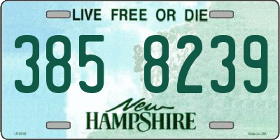 NH license plate 3858239