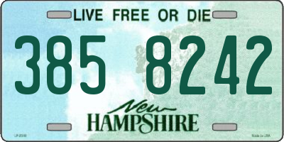 NH license plate 3858242