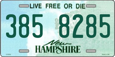 NH license plate 3858285