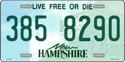 NH license plate 3858290
