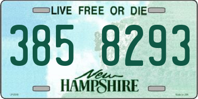 NH license plate 3858293