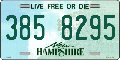 NH license plate 3858295