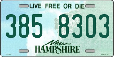 NH license plate 3858303