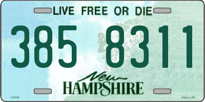 NH license plate 3858311