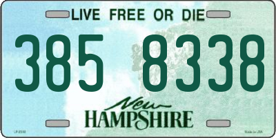 NH license plate 3858338
