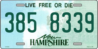 NH license plate 3858339