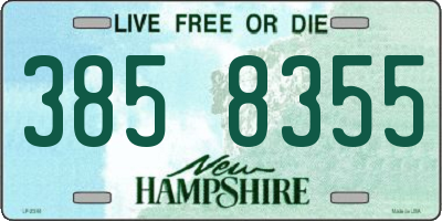 NH license plate 3858355