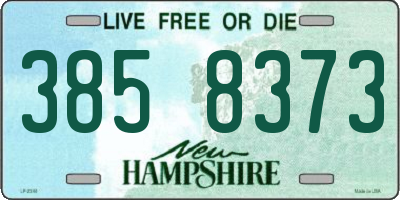 NH license plate 3858373