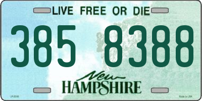 NH license plate 3858388