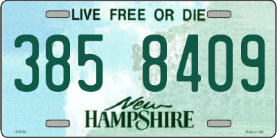 NH license plate 3858409