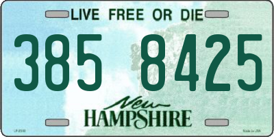 NH license plate 3858425