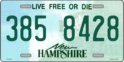 NH license plate 3858428
